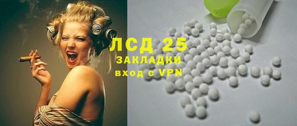 ГАЛЛЮЦИНОГЕННЫЕ ГРИБЫ Алексин