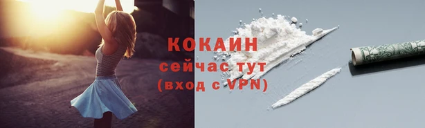 сатива Абаза