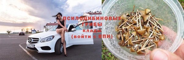 ешки Абинск