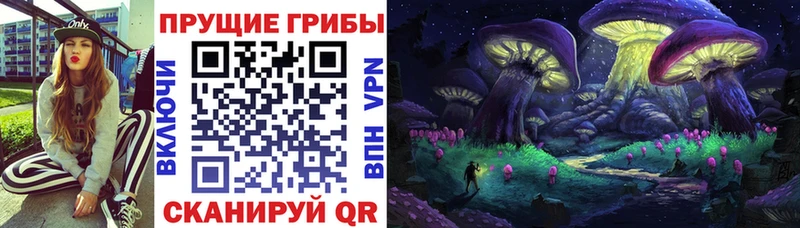 Галлюциногенные грибы Magic Shrooms  Циолковский 